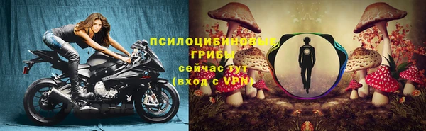 метадон Краснослободск