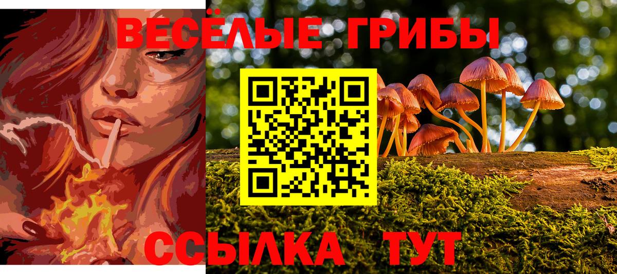 Кандалакша  Галлюциногенные грибы мухоморы  Вход с VPN  Псилоцибиновые грибы Psilocybine cubensis 